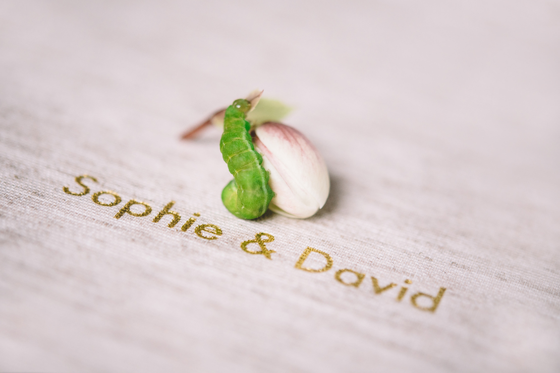 album photo fina art photographe mariage suisse geneve nyon