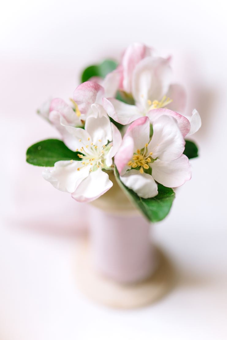 coffrets mariage fine art photographe mariage suisse geneve vaud lausanne vevey nyon